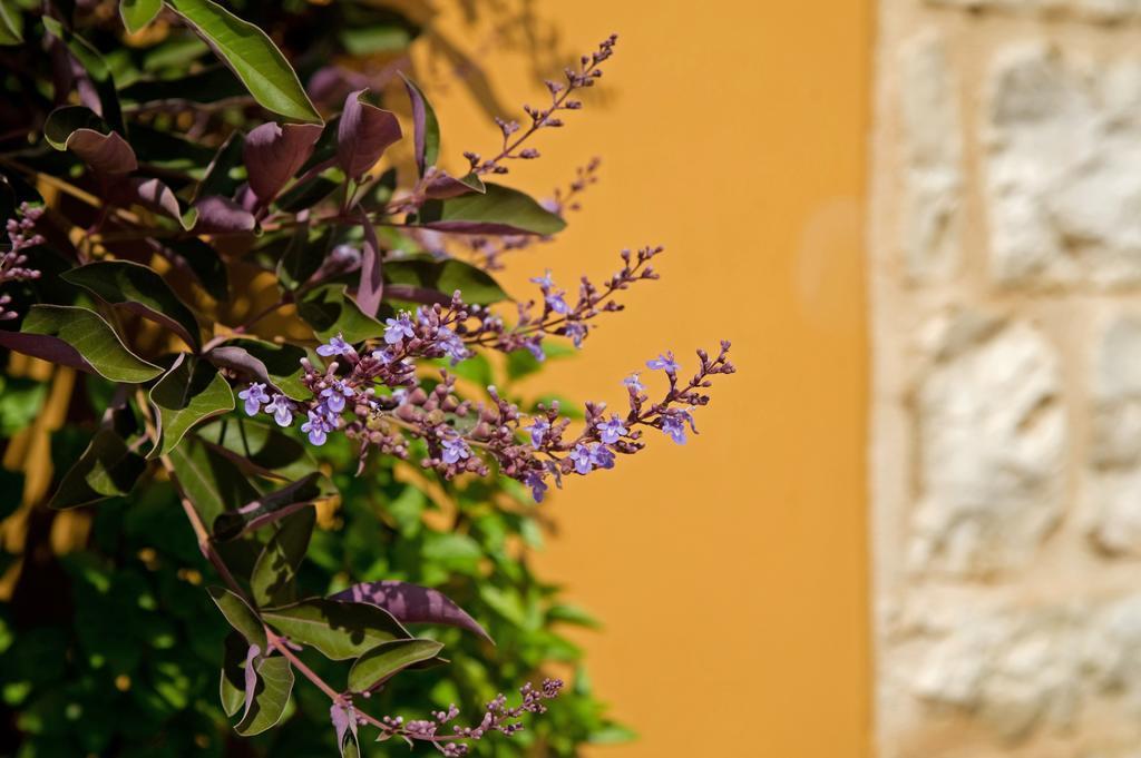 Enastron Villas キパリシア エクステリア 写真